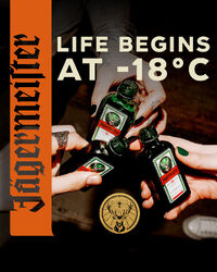 Jägermeister_SocialMedia_Asset_Cheers_portrait.jpg